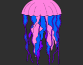 Coloring page Jellyfish painted byisaiah