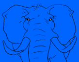 Coloring page African elephant painted bybryan