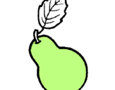 Coloring page pear painted bydonna