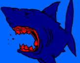 Coloring page Shark painted bybryan