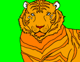 Coloring page Tiger painted byAriana $
