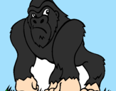 Coloring page Gorilla painted bypedro