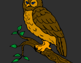 Coloring page Barn owl painted bykyla may