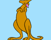 Coloring page Kangaroo painted bypedro