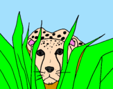 Coloring page Cheetah painted bypedro