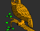 Coloring page Barn owl painted byAriana $
