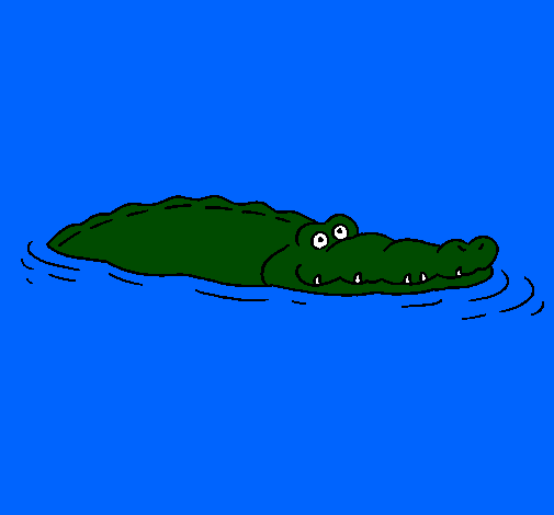 Crocodile 2