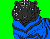 Coloring page Tiger painted byreni