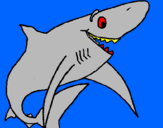 Coloring page Happy shark painted by grace  and  nate