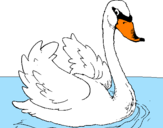 Coloring page Swan in water painted byArmands