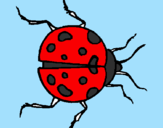 Coloring page Ladybird painted bypedro