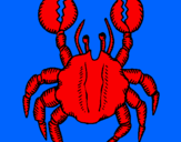 Coloring page Crab with large pincers painted byizan
