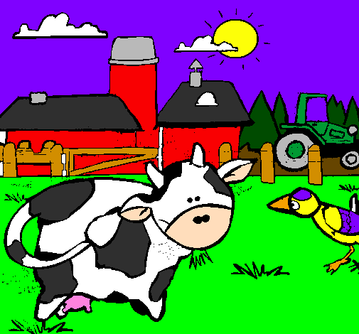 Cow on the farm