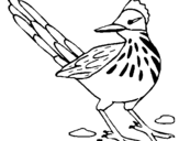 Coloring page Roadrunner painted bypedro