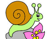 Coloring page Snail painted byandrea
