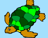 Coloring page Turtle painted bybelden lee