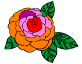 Coloring page Rose painted byClara