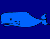 Coloring page Blue whale painted bymathias
