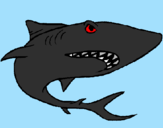 Coloring page Shark painted byp