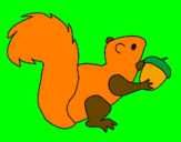Coloring page Squirrel painted bysofie