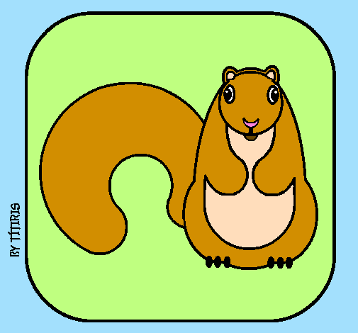 Squirrel II