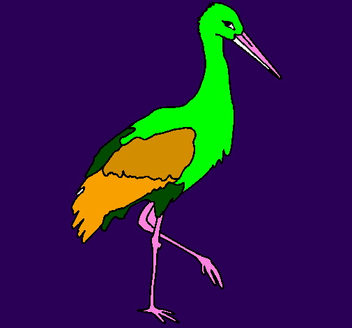 Stork 
