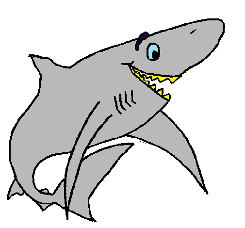 Happy shark