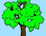 Coloring page Tree painted bynFFFD