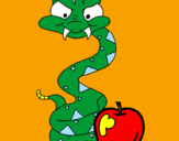 Coloring page Snake and apple painted byGabriel-alonso-sanchez