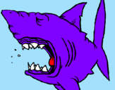 Coloring page Shark painted bybfgf tytyyu ghyhuuu