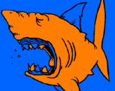 Coloring page Shark painted bychan chan