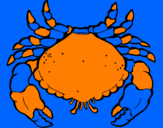 Coloring page Large crab painted bychan chan