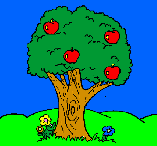 Apple tree