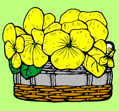 Basket of flowers 12