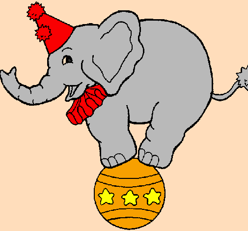 Elephant balancing on a ball
