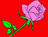 Coloring page Rose painted bylela