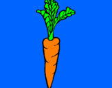 Coloring page carrot painted byMATTEO