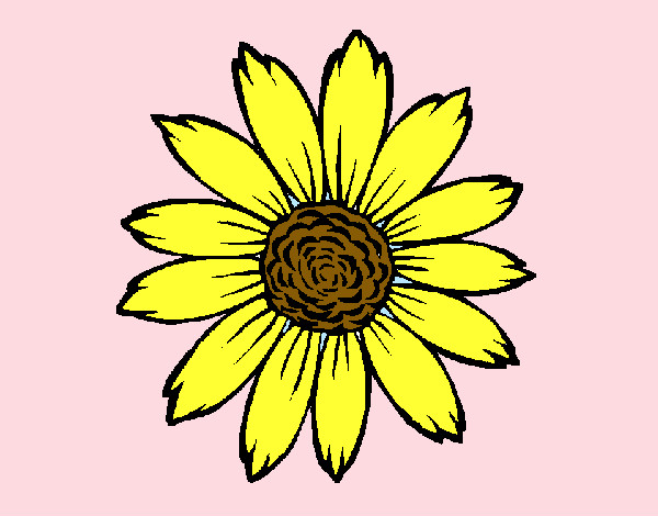 Coloring page Sunflower painted bycolorana