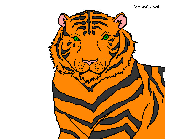 Coloring page Tiger painted byGordon