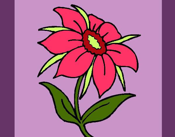 Coloring page Wild flower painted bymajja