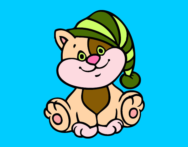 Coloring page Cat with hat painted bymajja