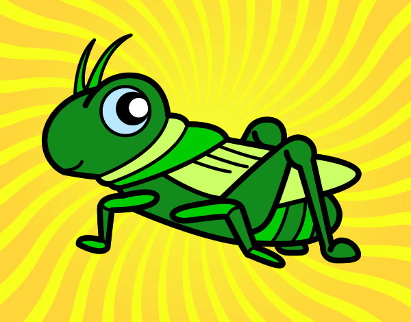 Coloring page Fun Grasshopper painted byKynKyn