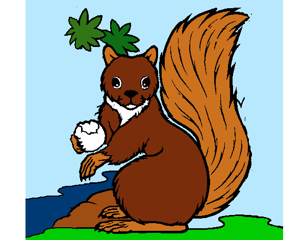 Coloring page Squirrel painted bykevinsuch