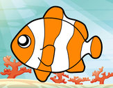 Coloring page Clownfish painted byChloe