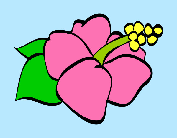 Coloring page Lagunaria flower painted bypenguin