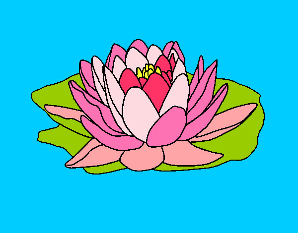 Coloring page Nymphaea painted bypenguin