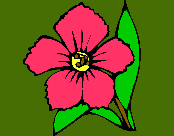 Coloring page Flower 4a painted bymorgbruni1