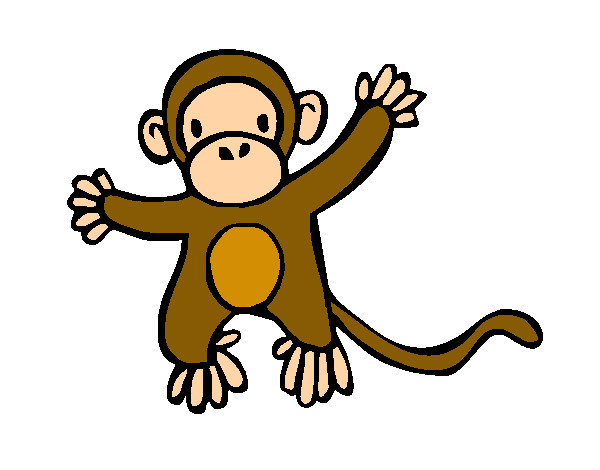 Monkey 2a