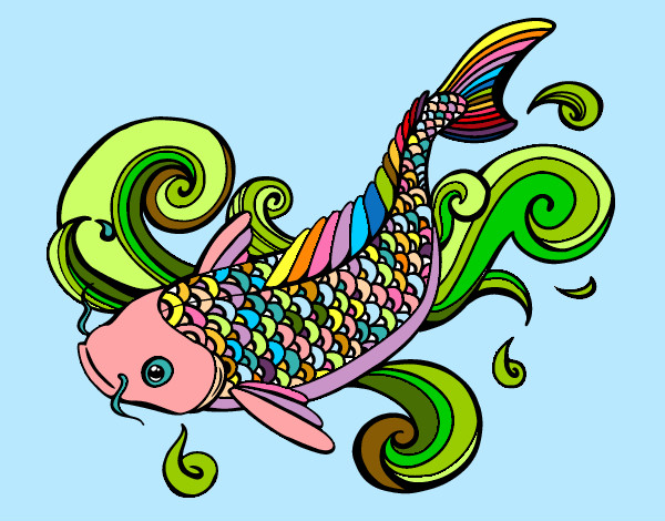 japanese koi fish drawing color