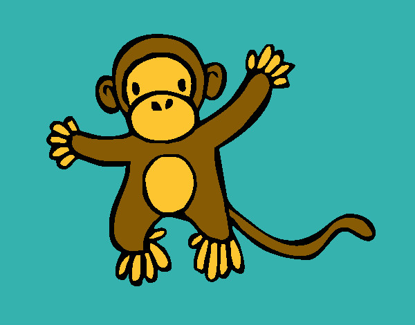 monkey little